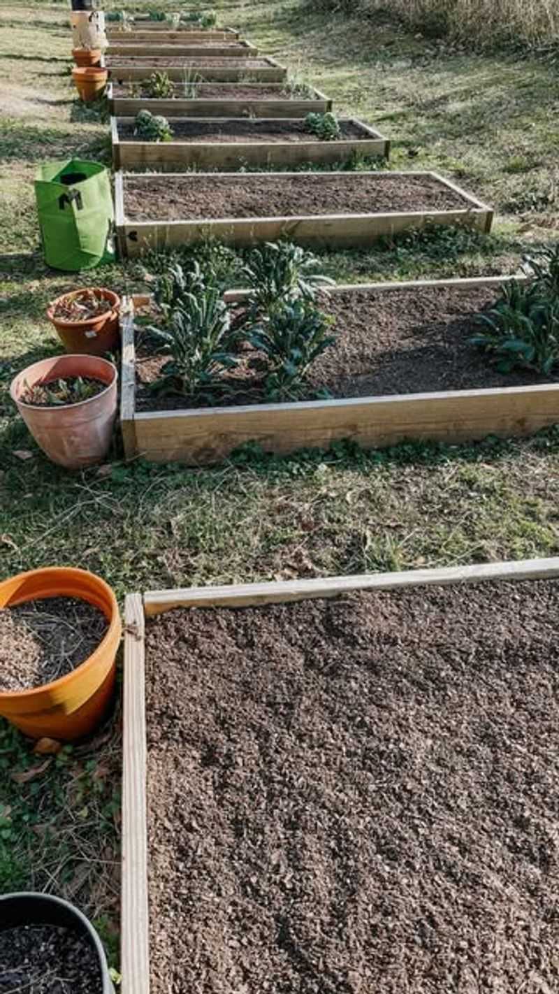 Raised Bed Soil Mix