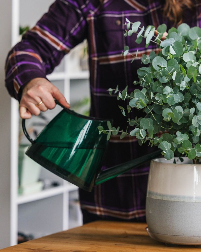 Adjust Your Watering Schedule To Match The Season