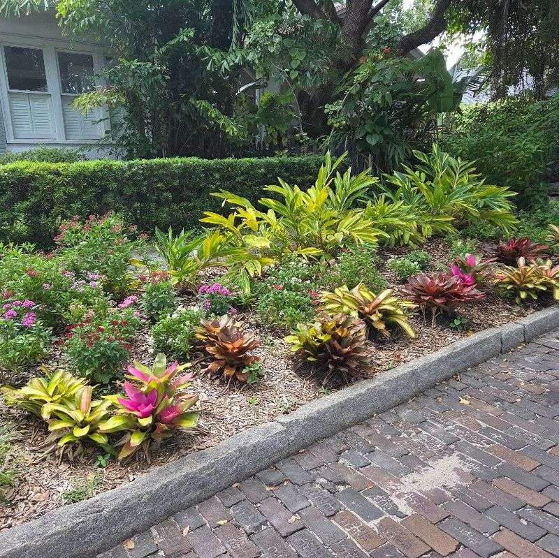 How North Florida Backyards Respond