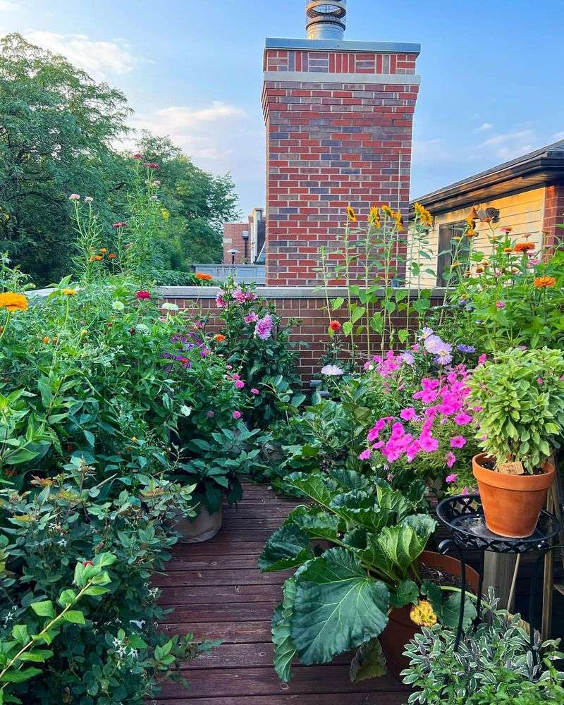 Container & Patio Gardens