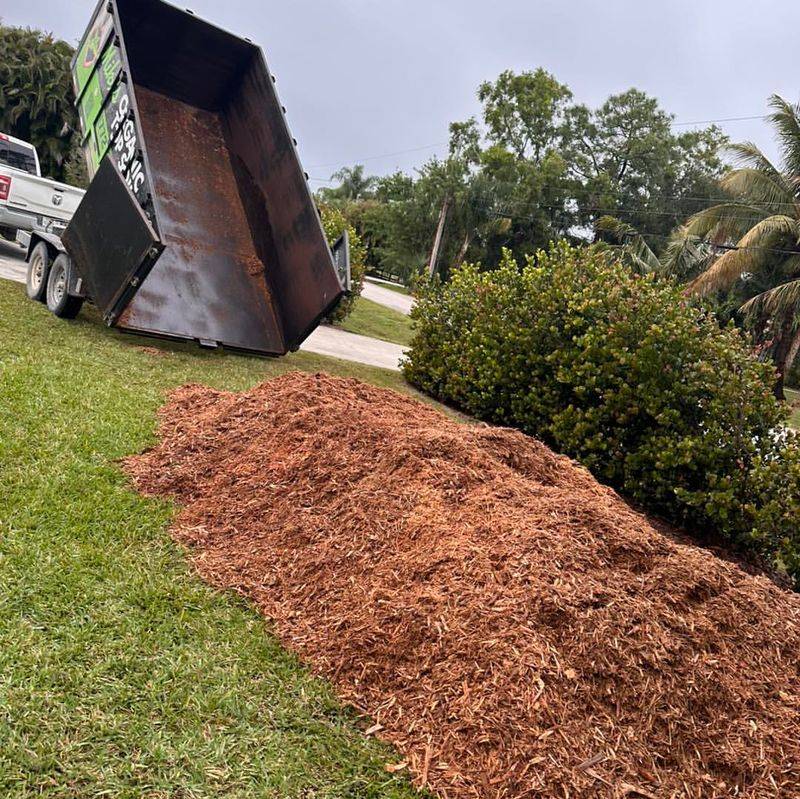 Organic Vs Inorganic Mulch Choices