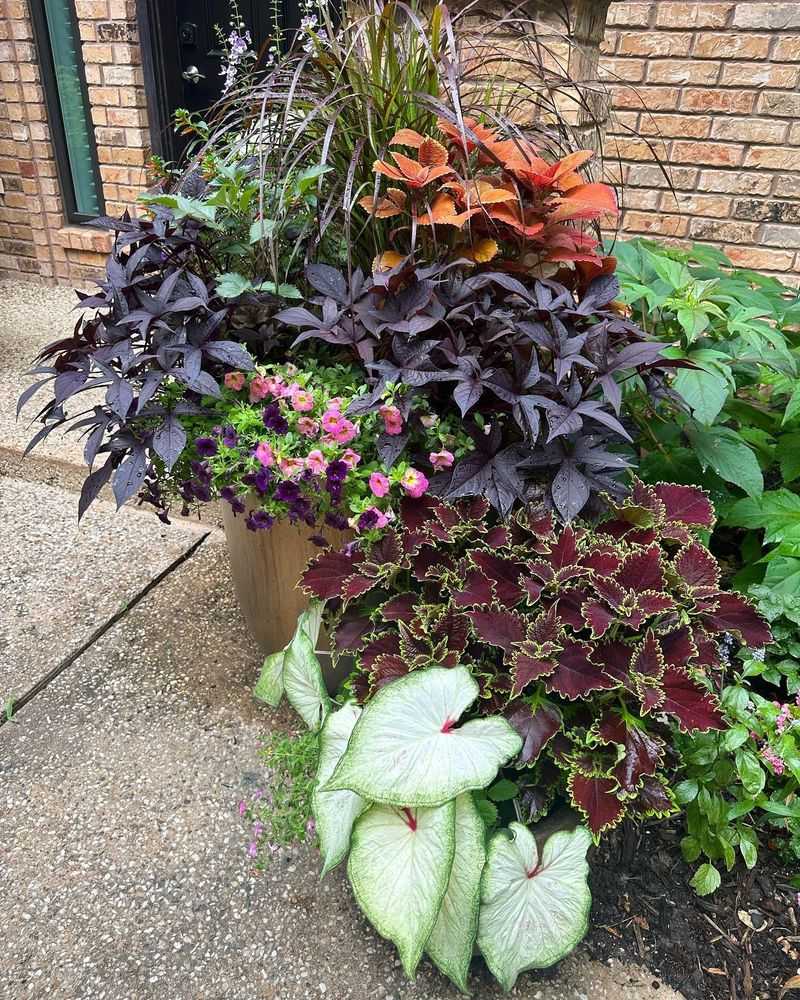 Container Gardens Offer Sun-Matching Flexibility