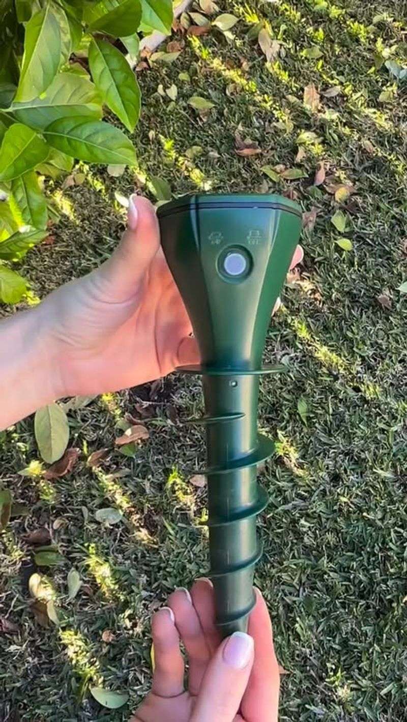 Use Motion-Activated Lights and Sprinklers