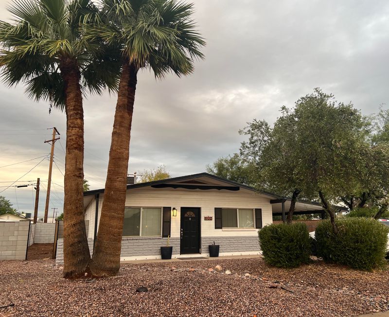 Adjust Watering To Encourage Strong Root Growth