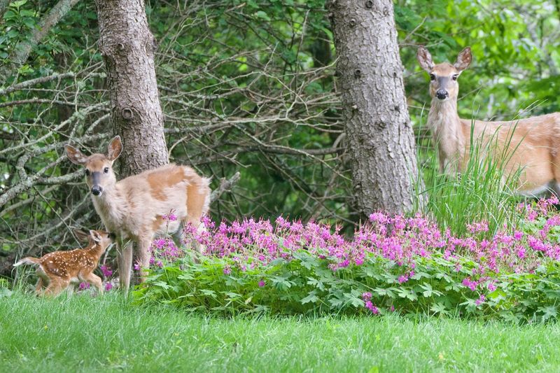 Use Motion Or Noise To Encourage Movement