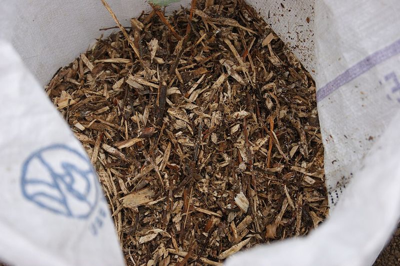 Mulching To Reduce Erosion And Washout