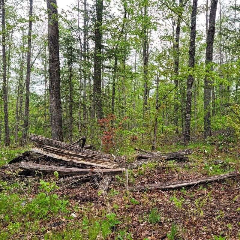 Unpredictable Weather Patterns Require Flexibility