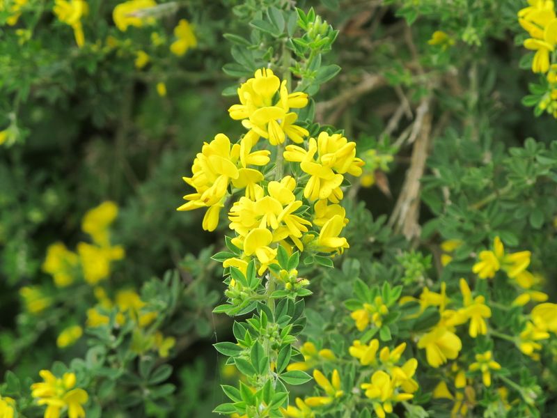 Cutting It Down Won't Solve The Problem