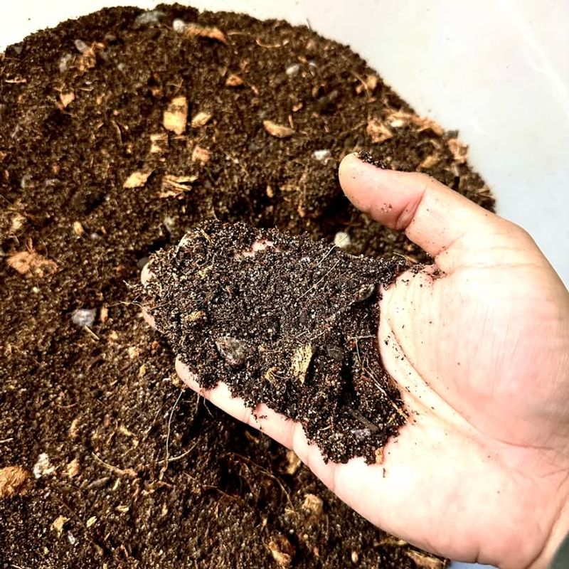 Prepare A Well-Draining Succulent Soil Mix