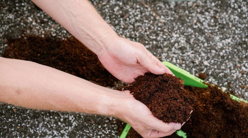 Prepare Your Soil With Proper Amendments