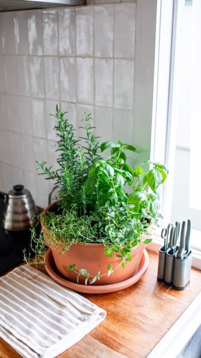 Use Quality Potting Mix Designed for Container Growing