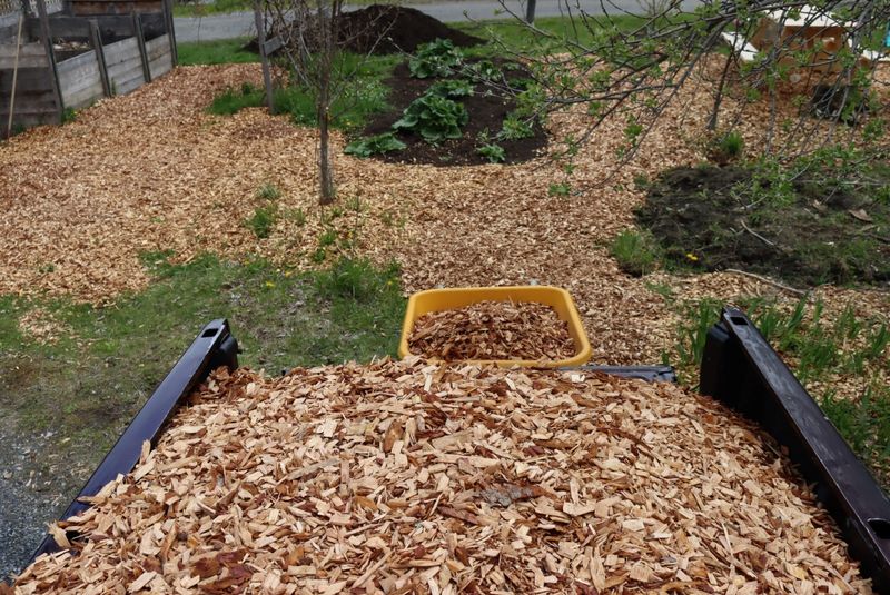 Avoid Fresh Wood Chips Until Properly Aged