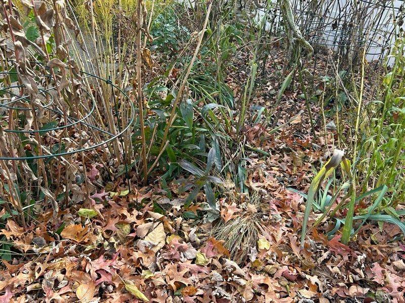 Soil Erosion Decreases With Standing Plant Material Holding Ground