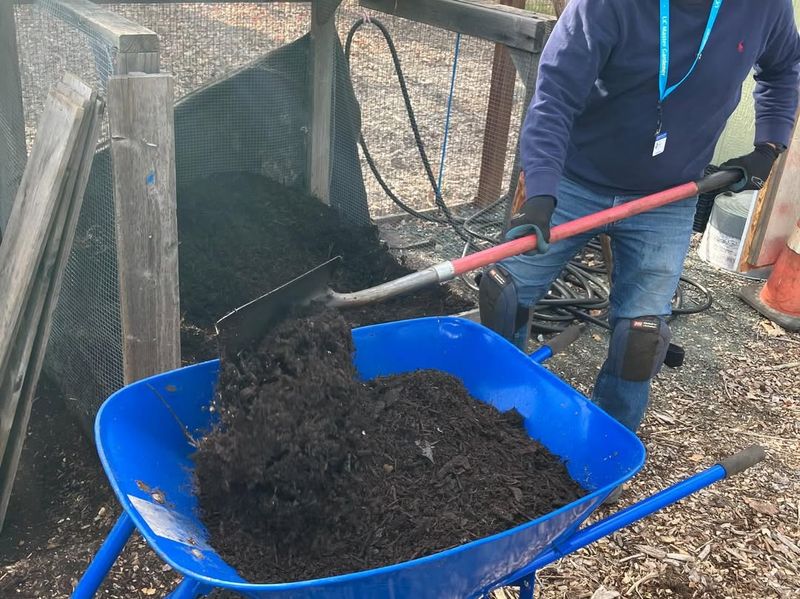 Start A Compost System