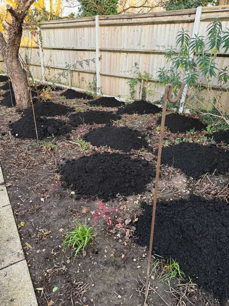 Mulch All Planting Areas