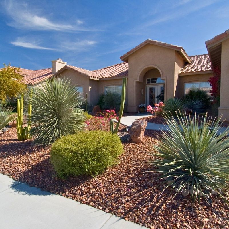 Low-Water, High-Style Landscaping