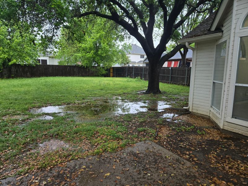 Watering Shaded Grass Creates Problems