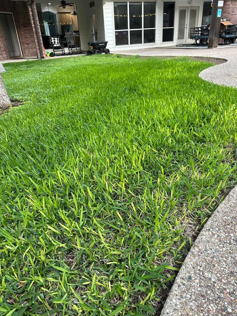 Lawns Must Be Fully Green Year-Round