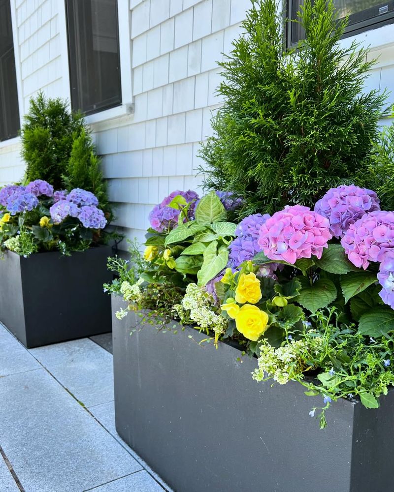 Container Plant Groupings For Natural Boundaries