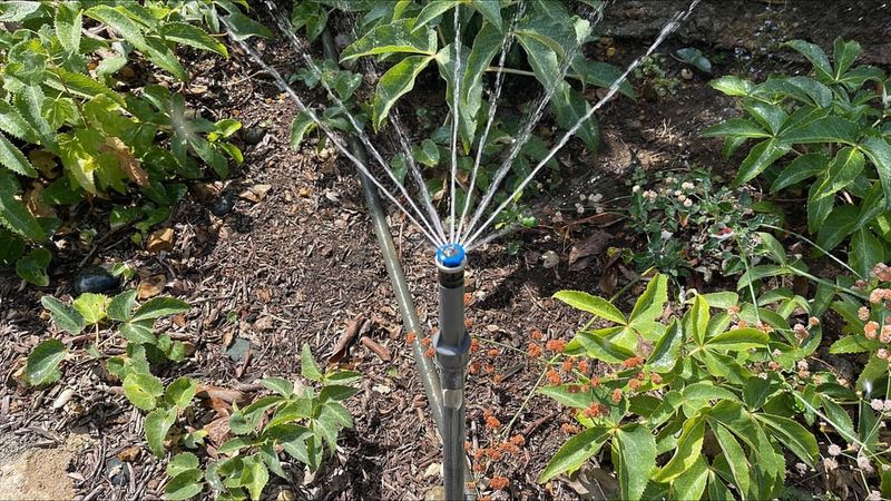 Watering Schedules Aren't Matching Sun Intensity