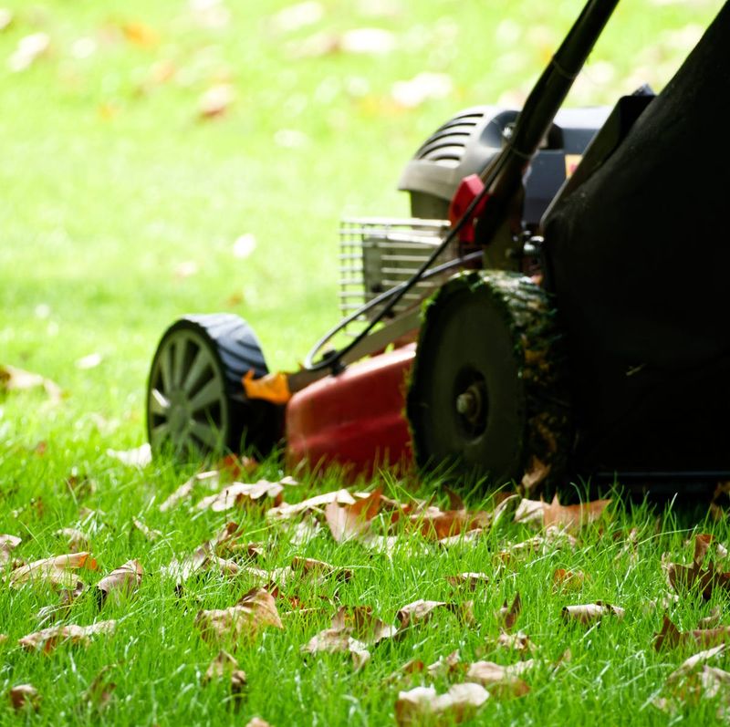Avoid Mowing During Peak Leaf Drop