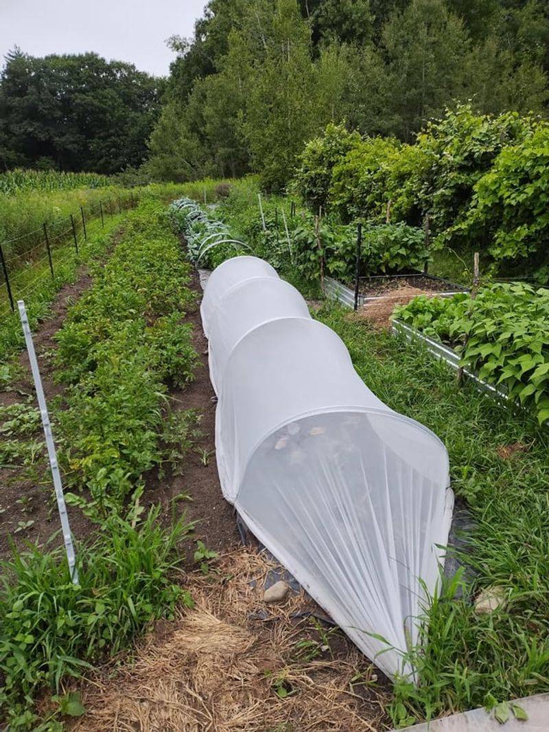 Better Control Over Soil Moisture Levels