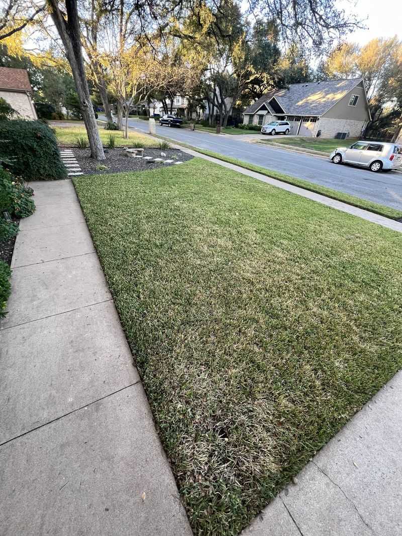 What Your Lawn Is Actually Doing In Winter