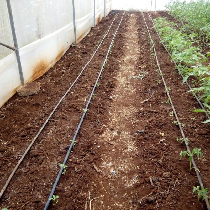 Incorporate Organic Matter