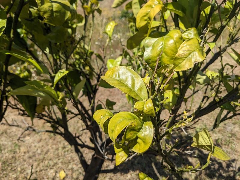 Why Spring Problems Often Start Months Earlier