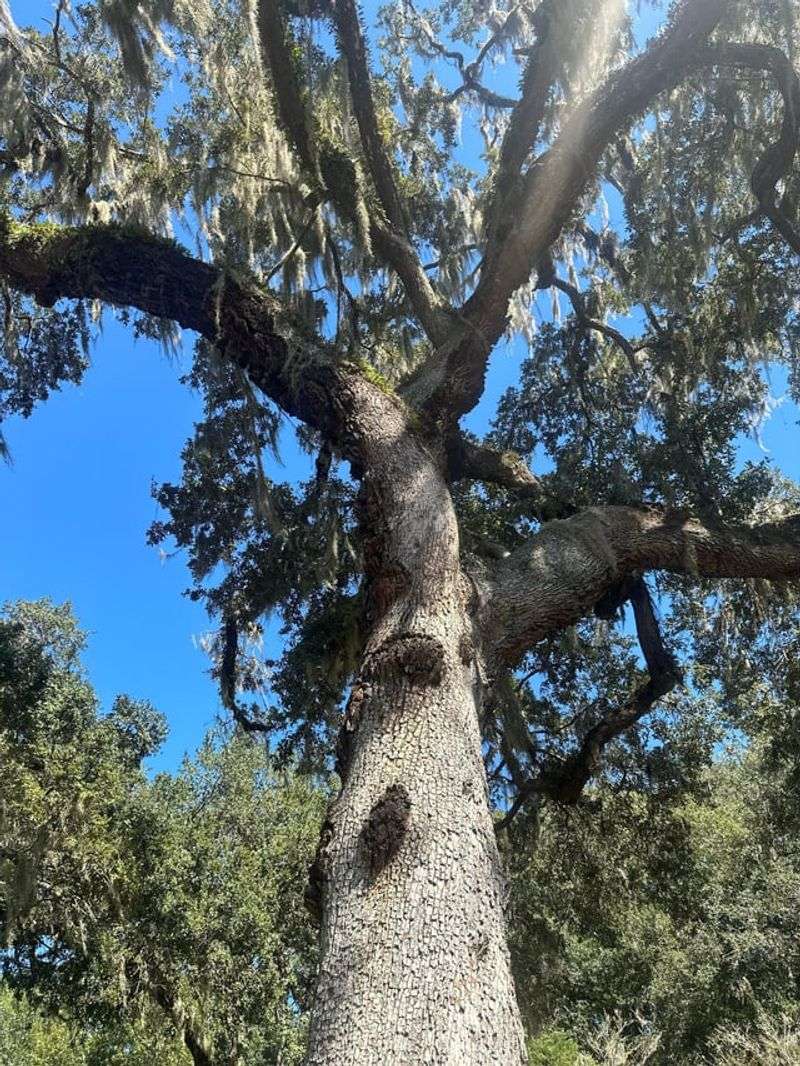 When It's Smart To Take A Closer Look