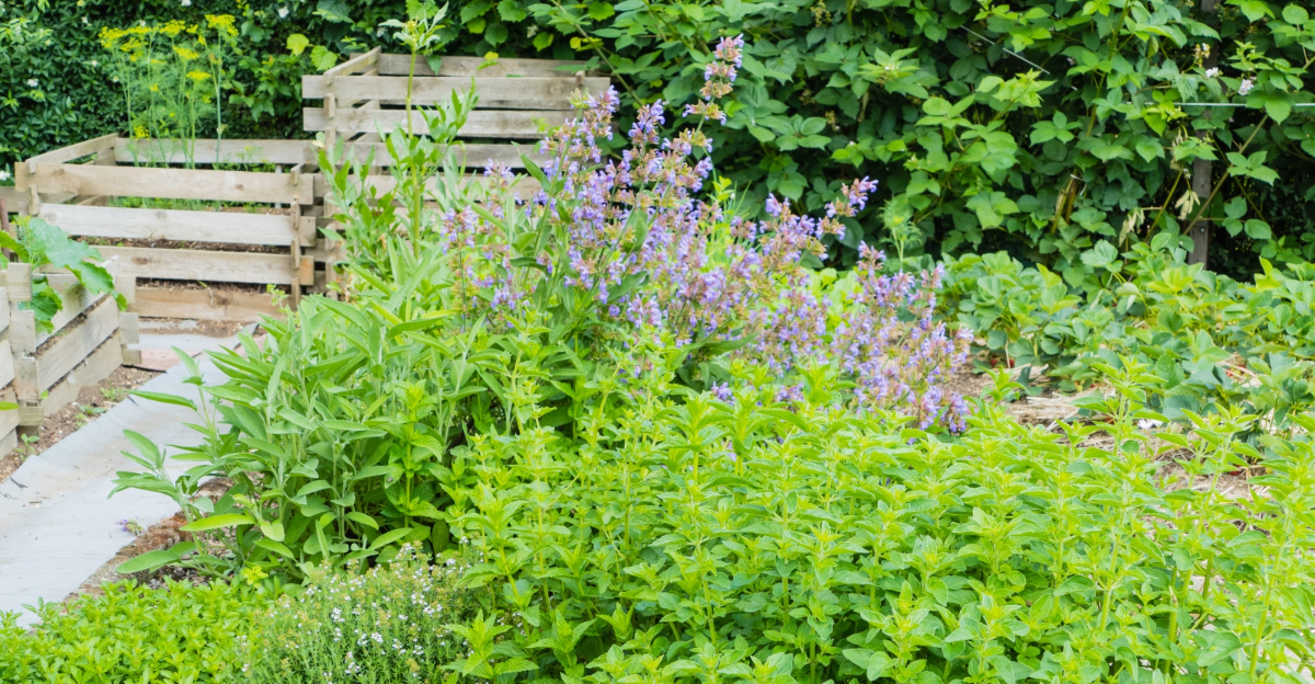 garden (featured image)