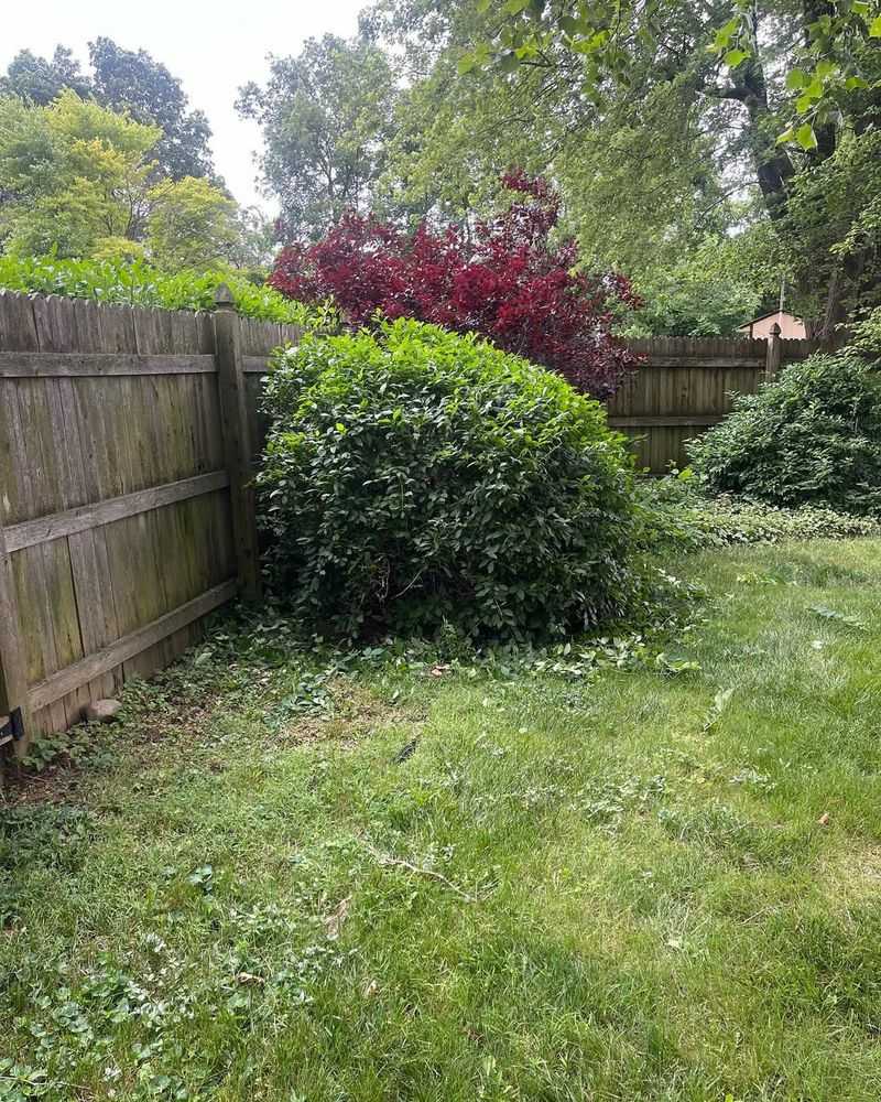 When Professional Advice May Be Considered