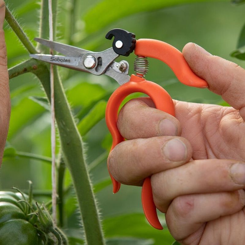 Handle Comfort Affects Your Pruning Experience