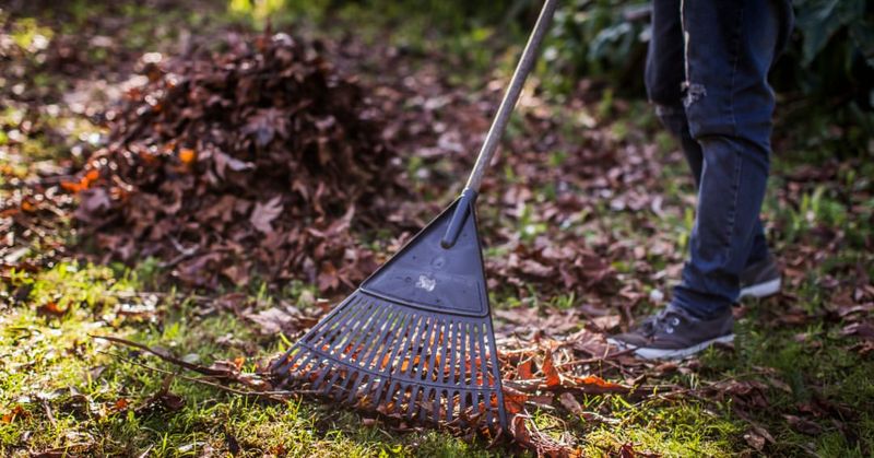 Clear Leaves Before Mowing