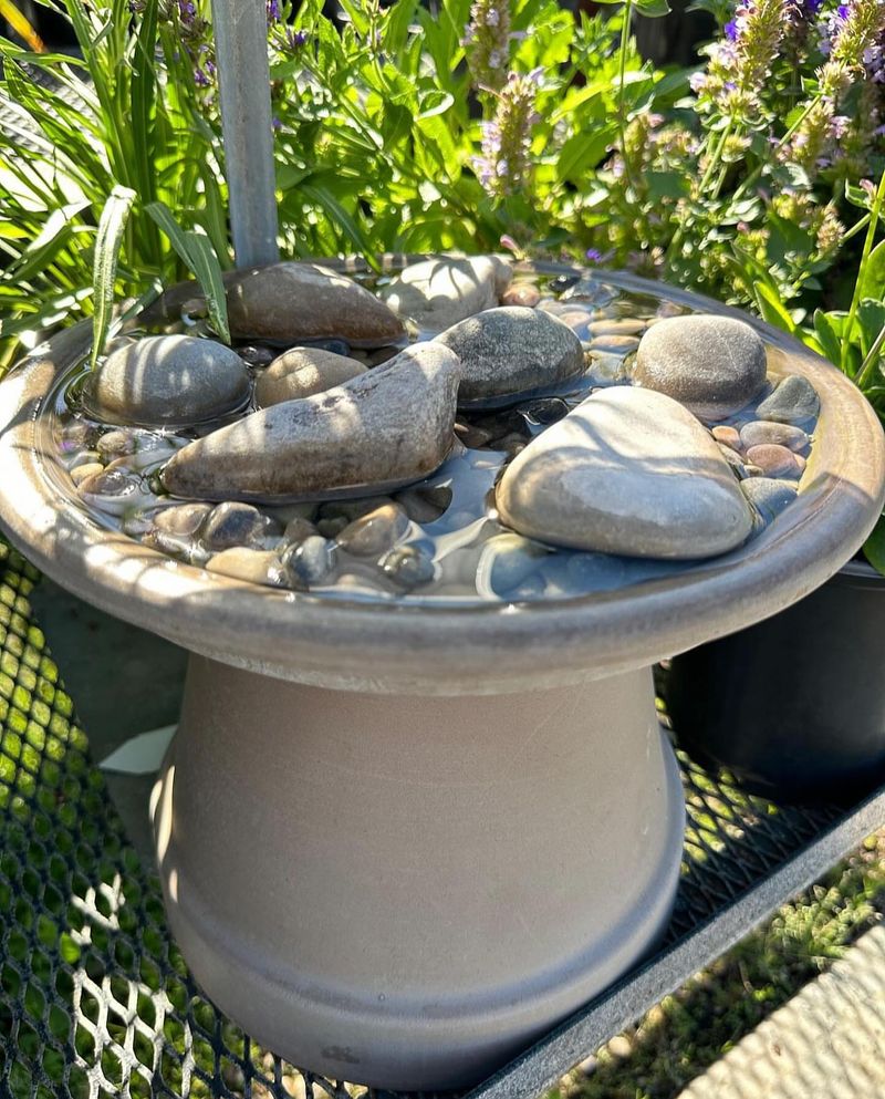 Provide Water Sources With Safe Landing Spots