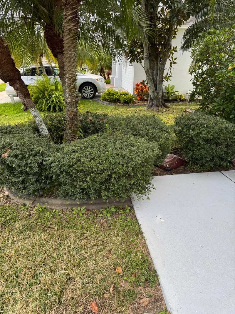 Pruning At The Wrong Time