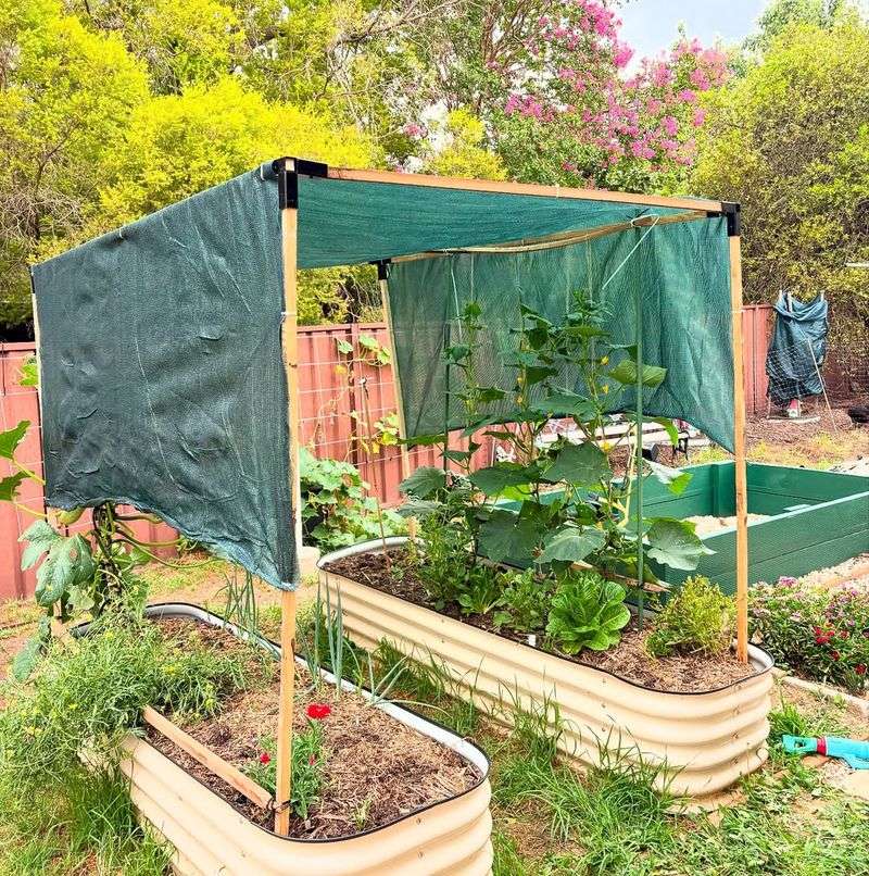 Heat Stress Arriving Earlier Than Expected