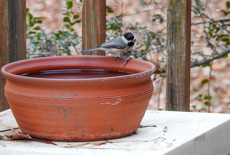 Winter Water Can Be A Lifeline