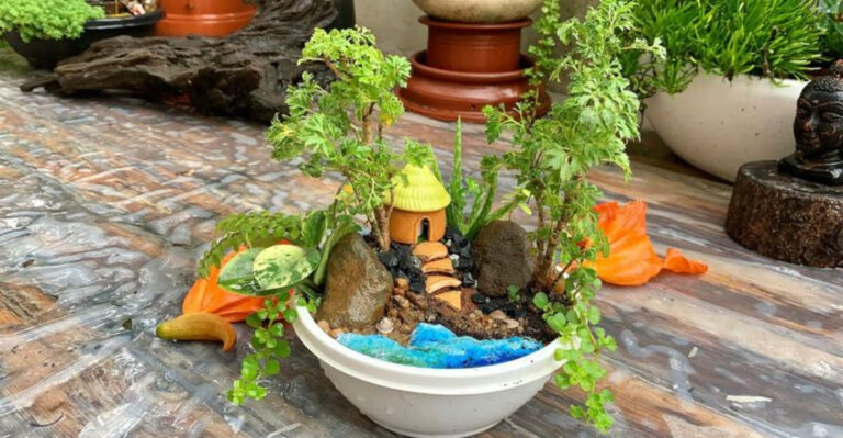mini garden idea (featured image)