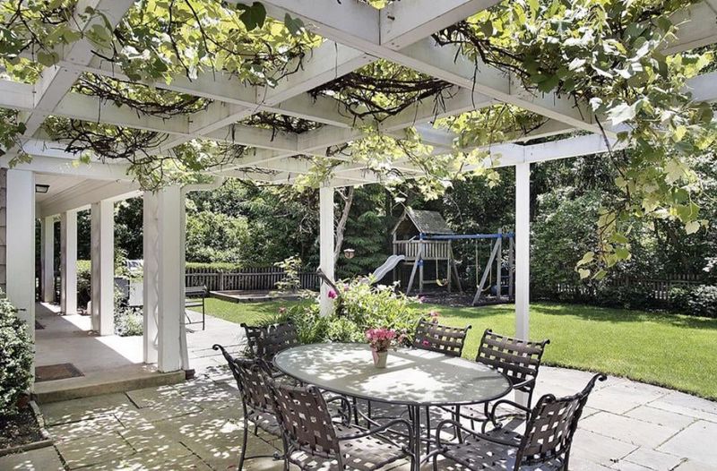 Shade Creation With Canopy Trees & Vines