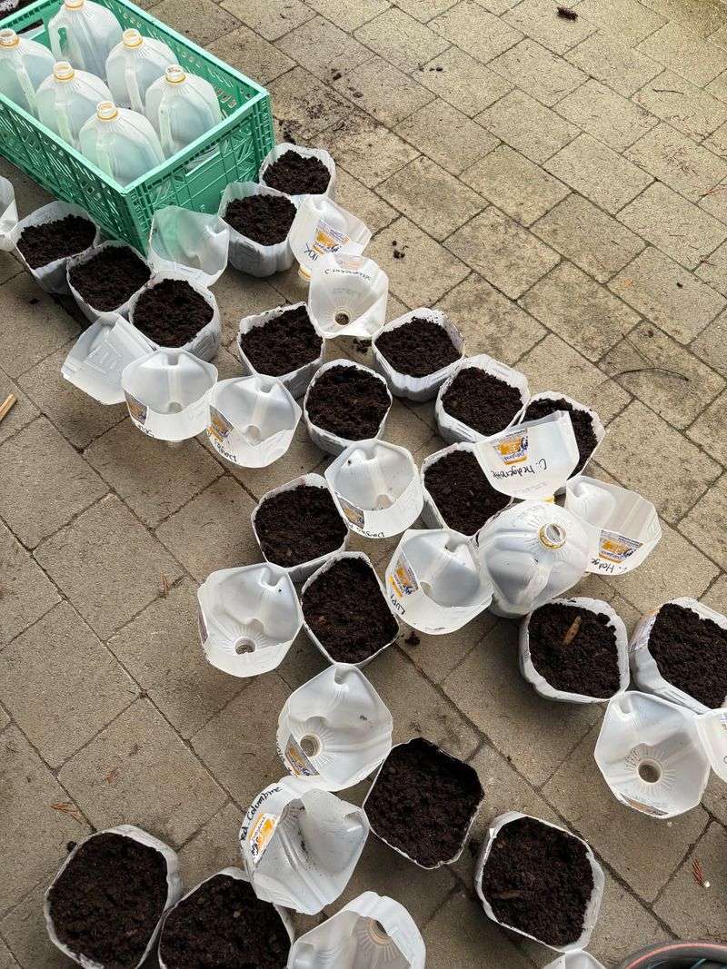 Costly Winter Sowing Mistakes Ohio Gardeners Must Avoid