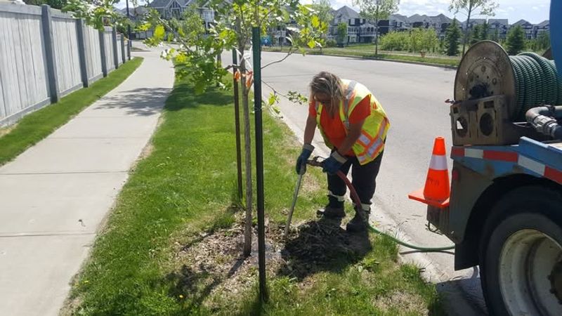 Always Check Soil Moisture Before Watering