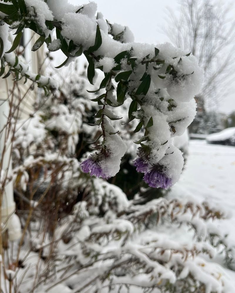Snow Helps Retain Soil Moisture Until Spring