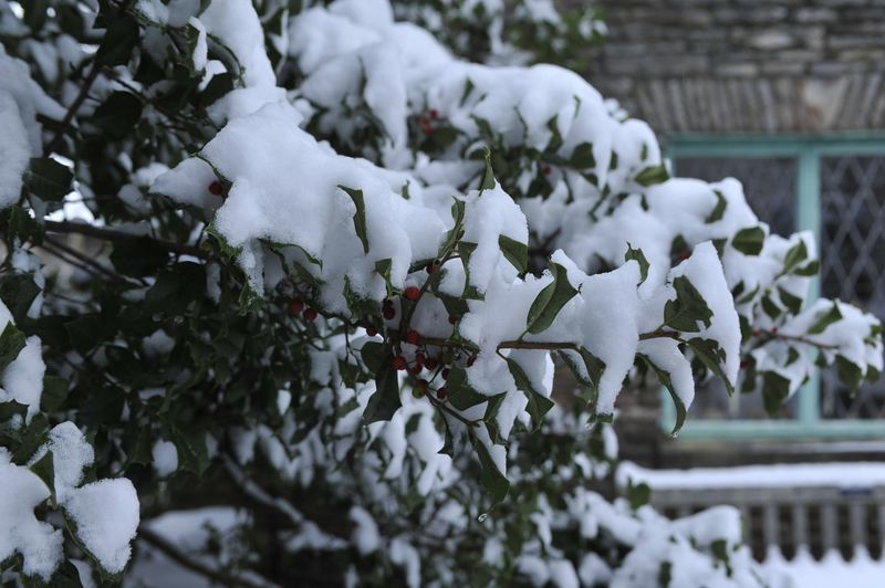 Snow Acts As A Natural Insulating Blanket