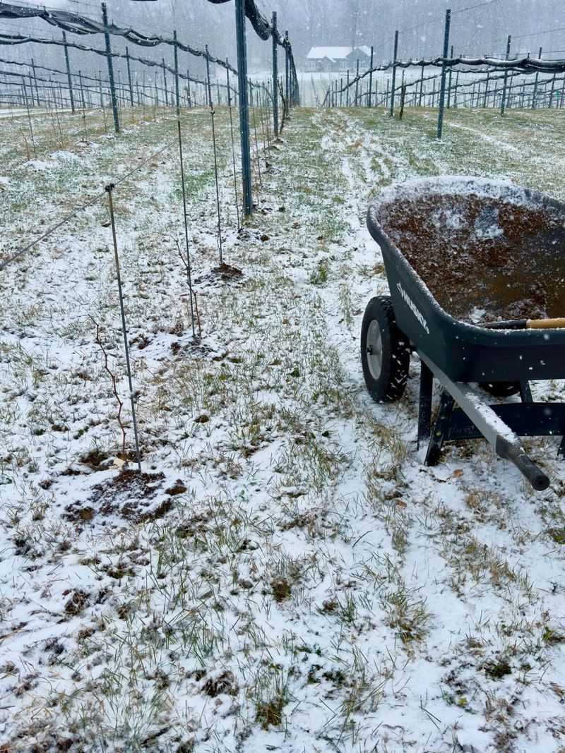 Snow Protects Beneficial Soil Life