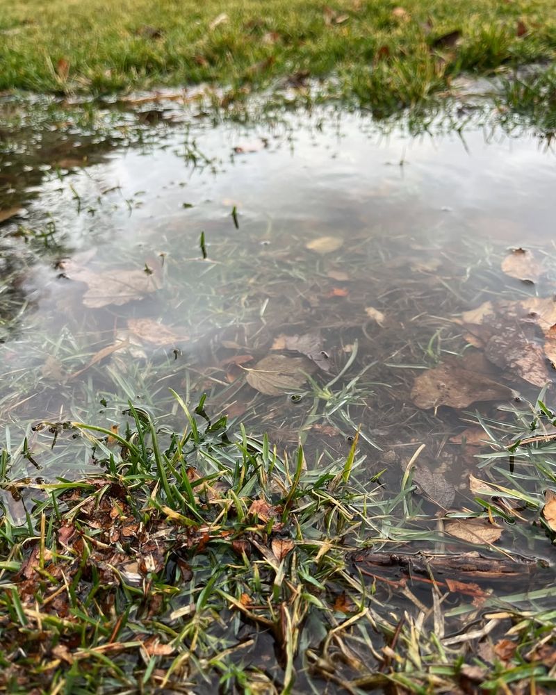 If Water Sits For Days, Your Soil Isn’t Ready