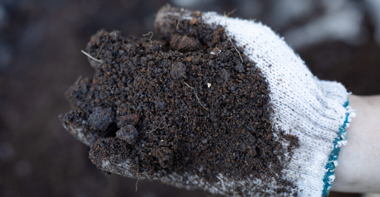 soil (featured image)