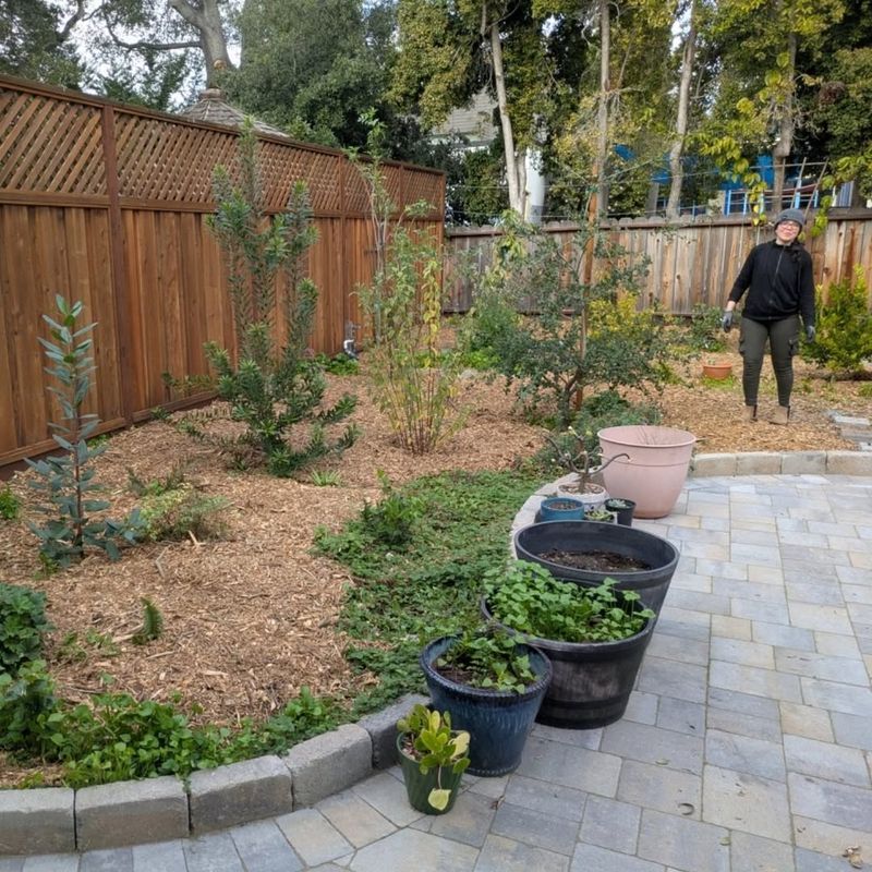 Temperature Extremes And How Mulch Protects Your Investment