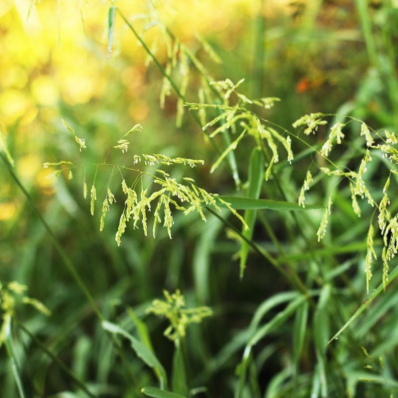 Wind Exposure Amplifies Water Loss