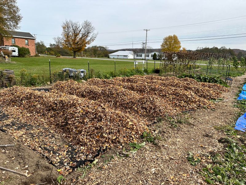 Mulch Has Months To Break Down And Enrich Soil